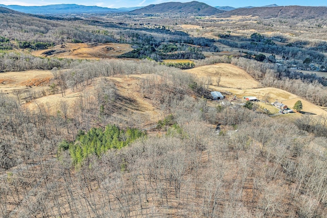 birds eye view of property with a mountain view