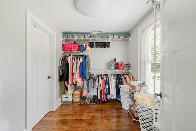 walk in closet with dark hardwood / wood-style floors