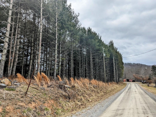 0 Irish Mountain Rd, Hiwassee VA, 24347 land for sale