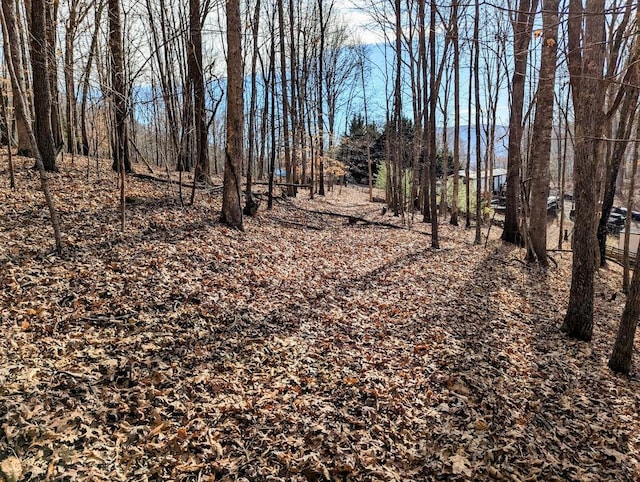 0 Irish Mountain Rd, Hiwassee VA, 24347 land for sale