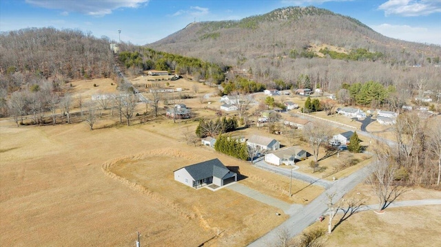 drone / aerial view featuring a mountain view