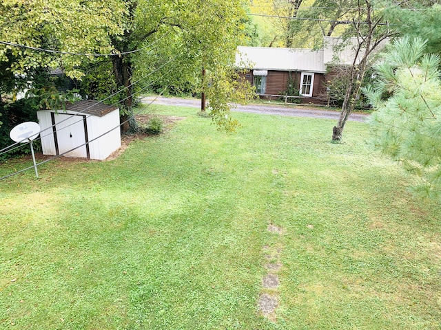 view of yard with a storage shed