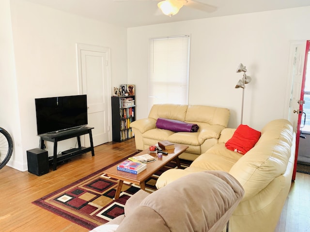 living room featuring hardwood / wood-style flooring