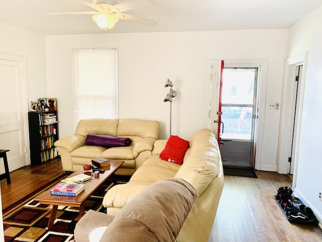 living room with ceiling fan and wood-type flooring