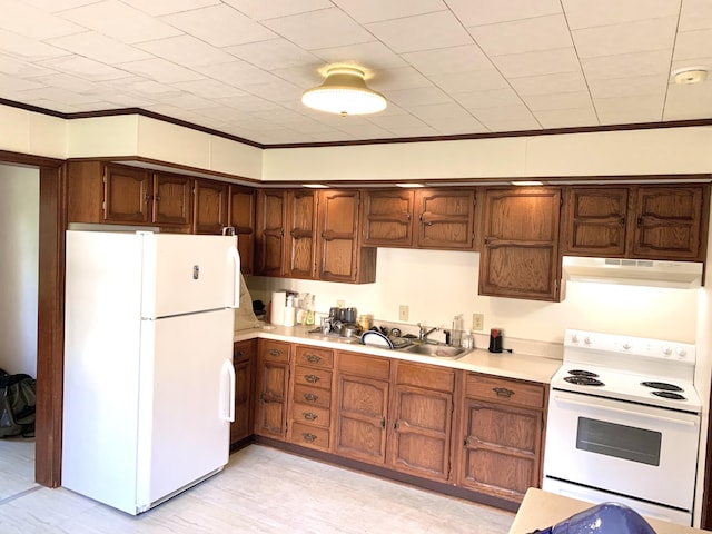 kitchen with crown molding, sink, and white appliances