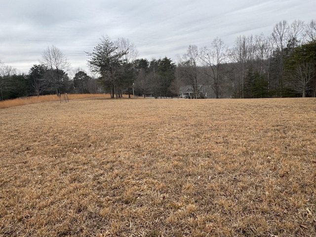 Listing photo 2 for LOT2 Buck Run Dr, Moneta VA 24121