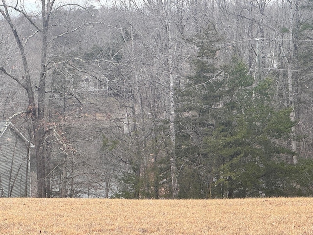 Listing photo 3 for LOT2 Buck Run Dr, Moneta VA 24121