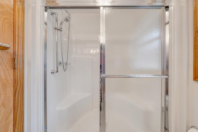 bathroom featuring a shower with shower door