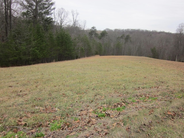 Listing photo 2 for LT31 Revolution Rd, Wirtz VA 24184