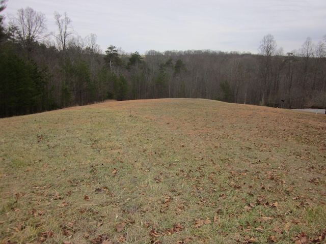 Listing photo 3 for LT31 Revolution Rd, Wirtz VA 24184