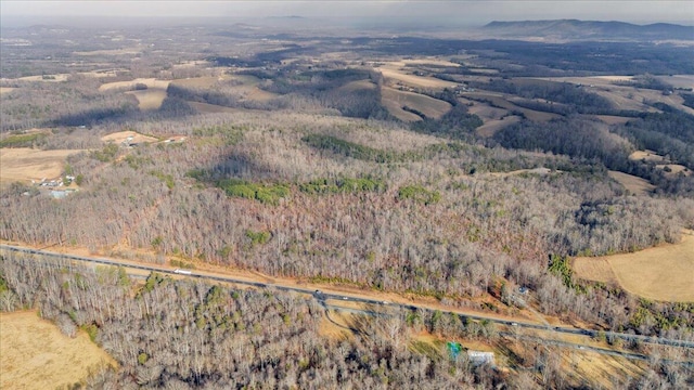 birds eye view of property featuring a forest view