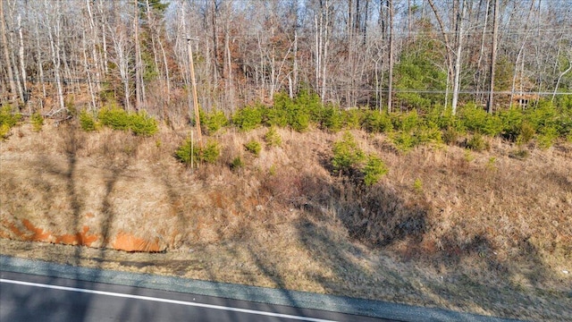 view of local wilderness