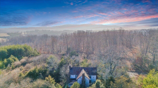 bird's eye view with a forest view