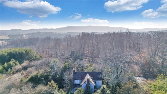 mountain view featuring a wooded view