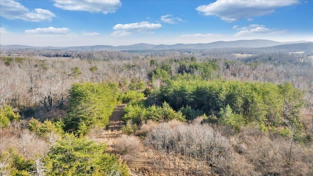 view of mountain feature with a wooded view