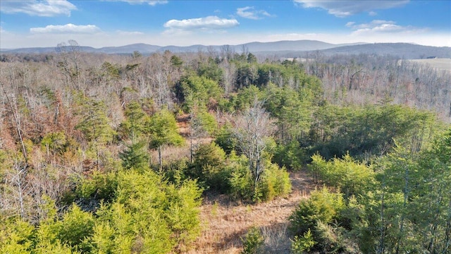 mountain view featuring a forest view