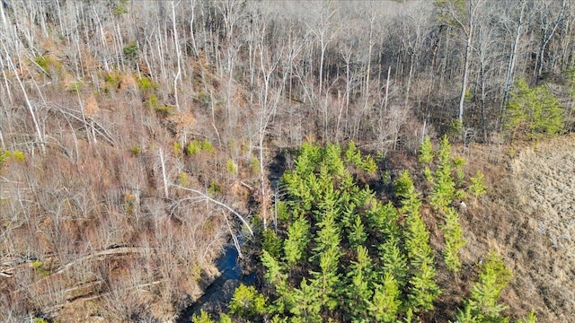 birds eye view of property featuring a wooded view