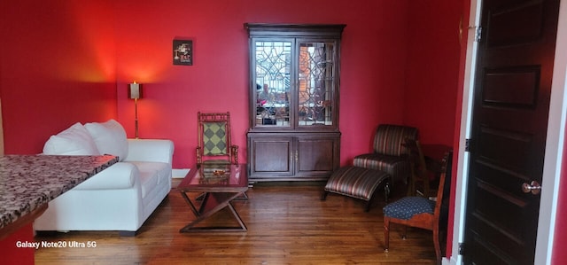 sitting room featuring dark hardwood / wood-style floors