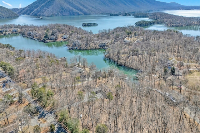 bird's eye view with a water and mountain view and a view of trees