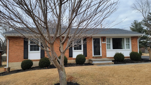 single story home with a front lawn