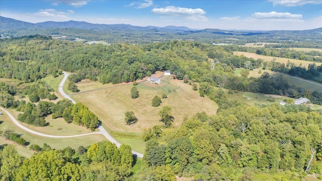 bird's eye view featuring a mountain view