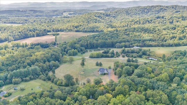 drone / aerial view featuring a rural view