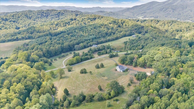 birds eye view of property with a mountain view