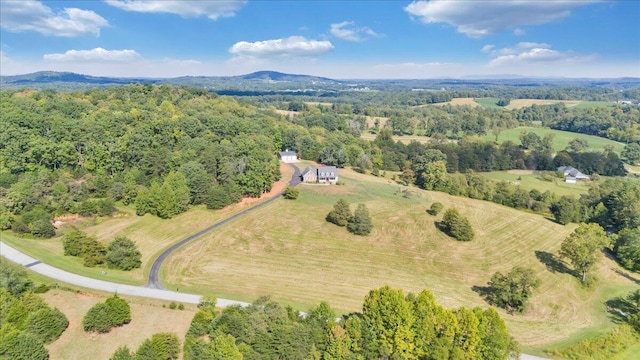 aerial view with a mountain view