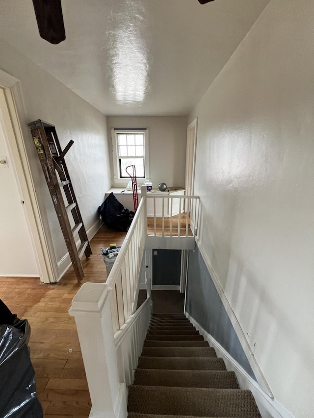 staircase with hardwood / wood-style floors