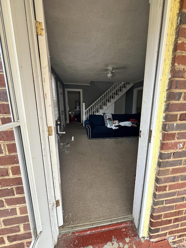 entrance to property featuring ceiling fan