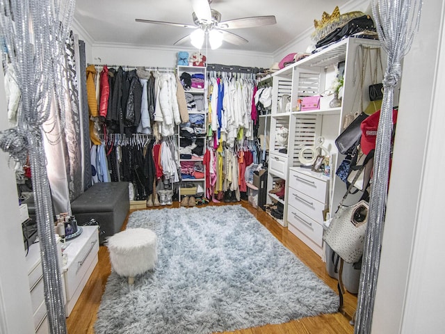 spacious closet featuring light hardwood / wood-style floors and ceiling fan