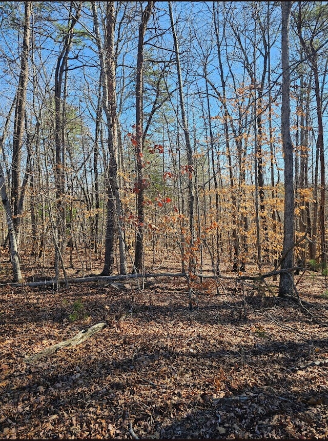 Listing photo 2 for TRACT4-B Red Oak Rd, Martinsville VA 24112