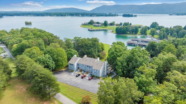 birds eye view of property with a water and mountain view