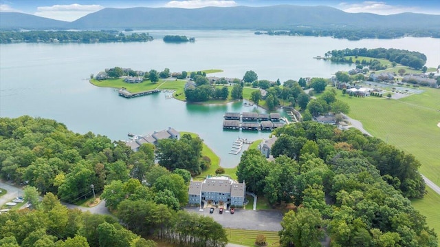 drone / aerial view with a water and mountain view