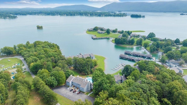 drone / aerial view featuring a water and mountain view