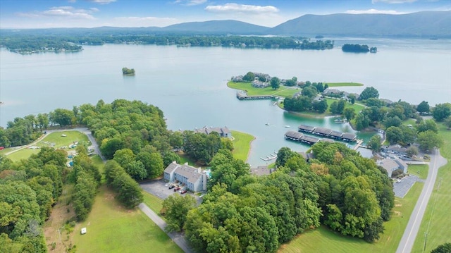 aerial view with a water and mountain view