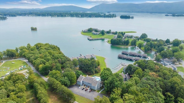 bird's eye view featuring a water and mountain view