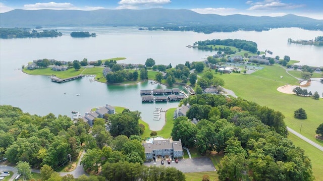 drone / aerial view with a water and mountain view