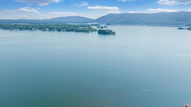 water view featuring a mountain view