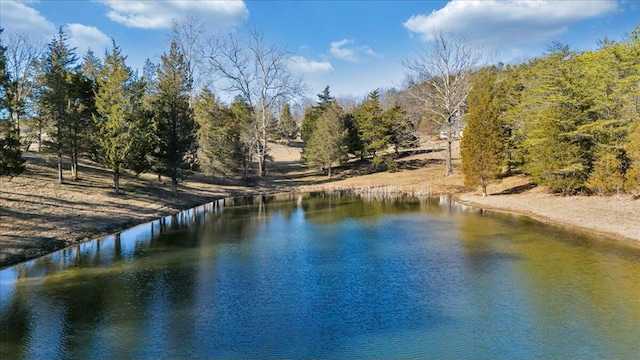 view of water feature