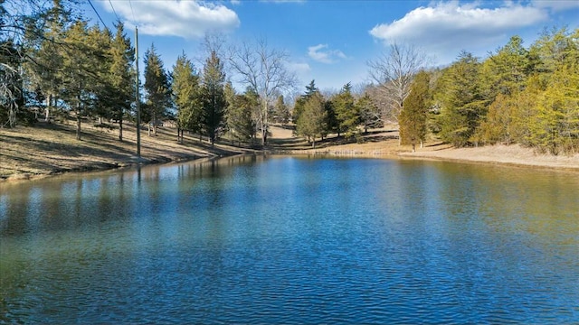 property view of water