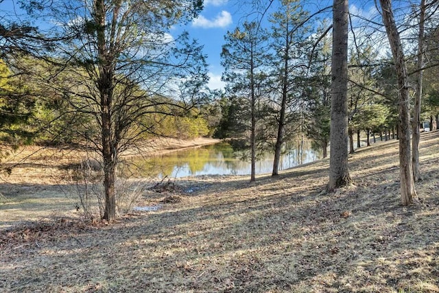 property view of water