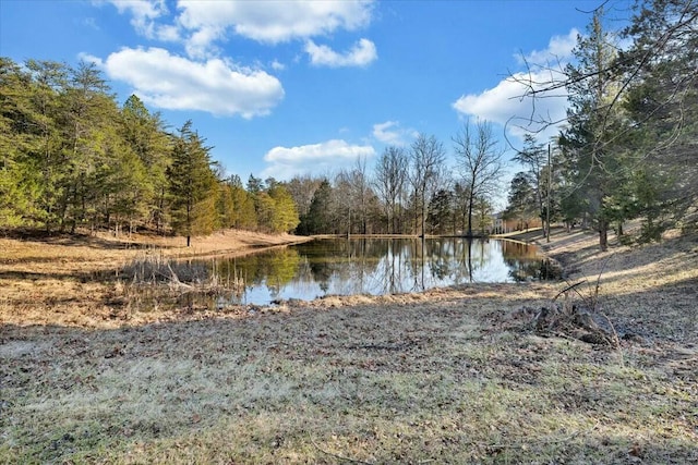 view of water feature