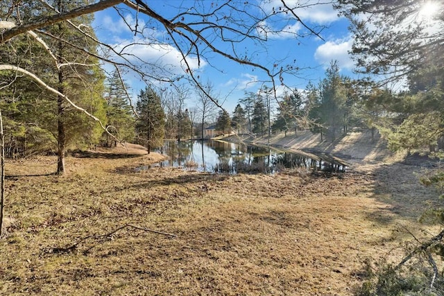 view of yard featuring a water view