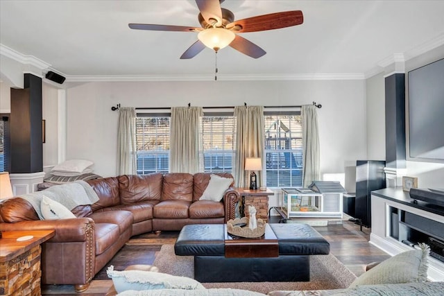 living room with crown molding, plenty of natural light, and dark hardwood / wood-style flooring