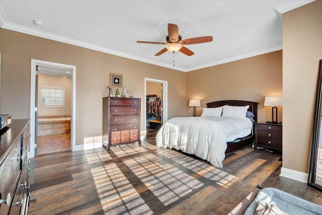 bedroom featuring crown molding, a walk in closet, dark wood-type flooring, and a closet