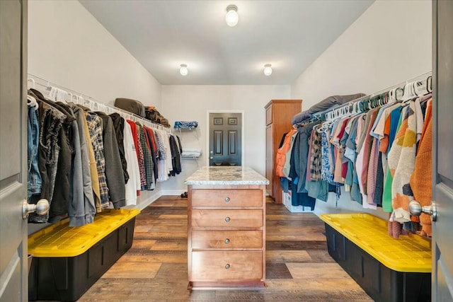 spacious closet featuring dark hardwood / wood-style flooring