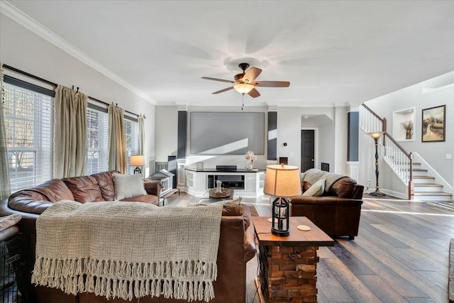 living room featuring ceiling fan, ornamental molding, and hardwood / wood-style floors