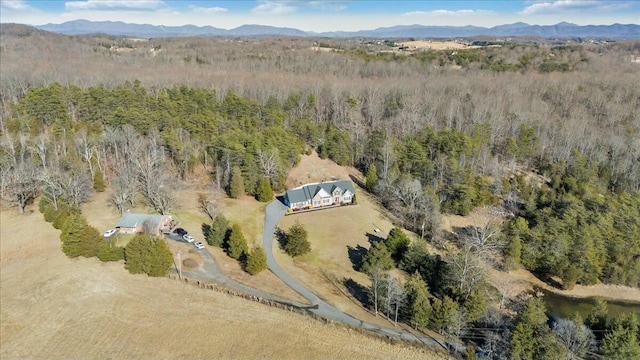 bird's eye view with a mountain view