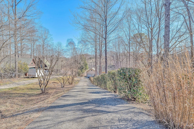 view of street with aphalt driveway